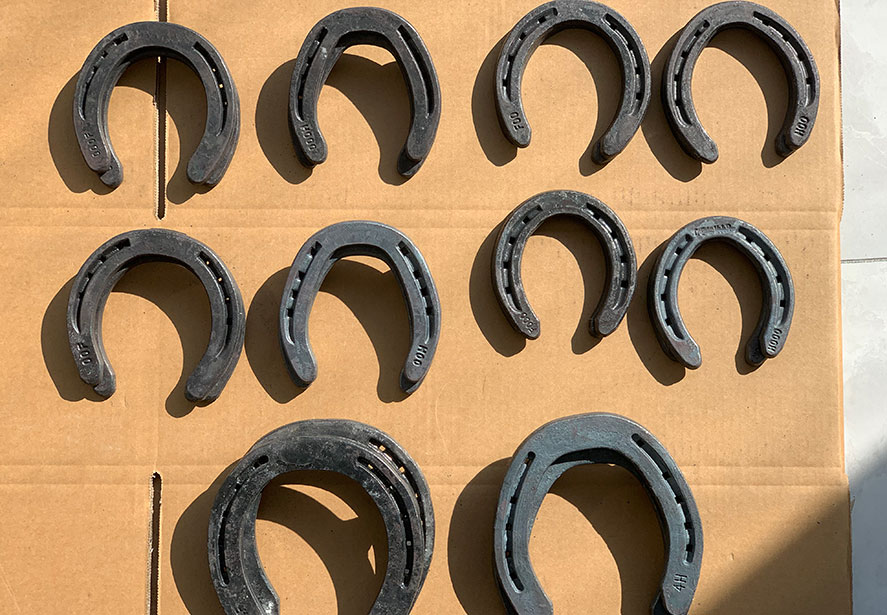 Horseshoe müşterisine hava nakliye örnekleri